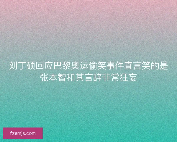 刘丁硕回应巴黎奥运偷笑事件直言笑的是张本智和其言辞非常狂妄
