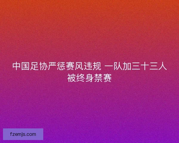 中国足协严惩赛风违规 一队加三十三人被终身禁赛