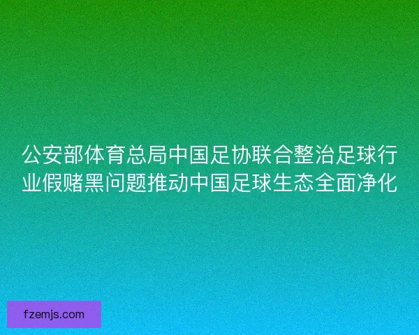 公安部体育总局中国足协联合整治足球行业假赌黑问题推动中国足球生态全面净化 公安部体育总局中国足协联合整治足球行业假赌黑问题推动中国足球生态全面净化